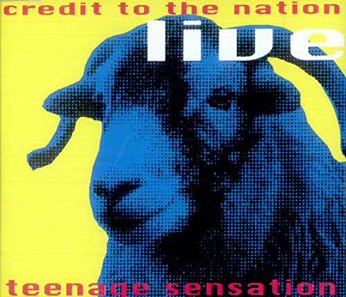 Teenage Sensation Cd Uk One Little Indian 1993