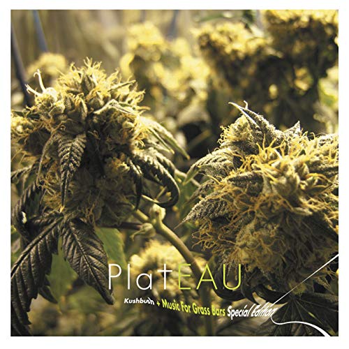 Kushburn/Music For Grass Bars