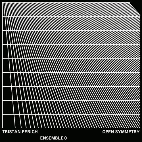Open Symmetry [Vinyl]