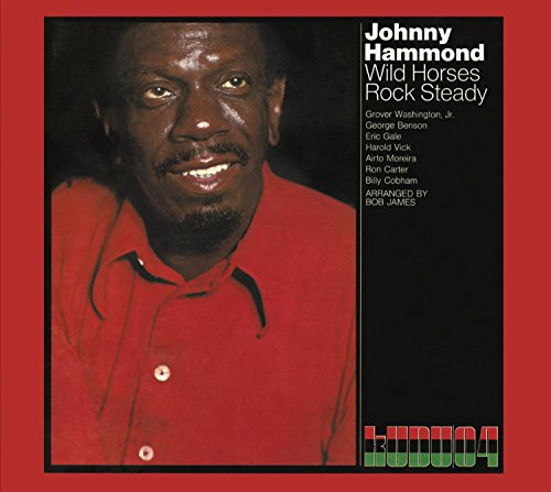 Wild Horses/Rock Steady