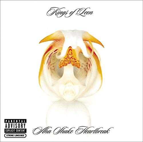 Kings Of Leon - Aha Shake Heartbreak (1 Cd)