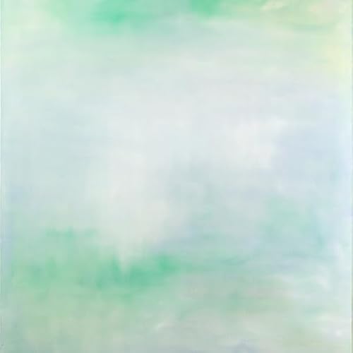 Field Record Chihei Hatakeyama-Hachirogata Lake Lp Vi