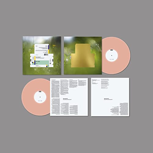 Spiritualized: Everything Was Beautiful (Deluxe) [Winyl]