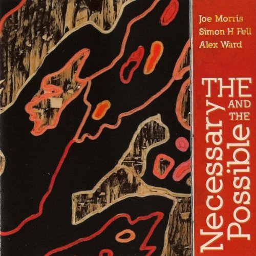 Necessary & The Possible