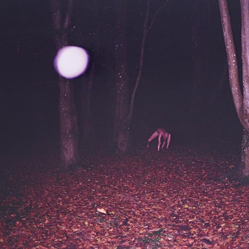 Skinwalker