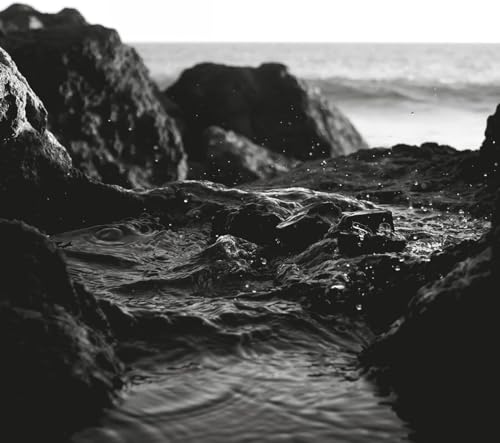 Ocean Death -Mcd-