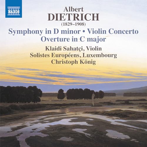 Symphony In D Minor; Violin Concerto; Ov Erture In C Major