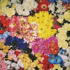 Is Tropical - I'M Leaving