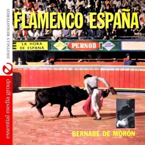 Flamenco Espa¦A