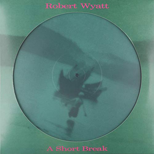 A Short Break (Picture Disc)
