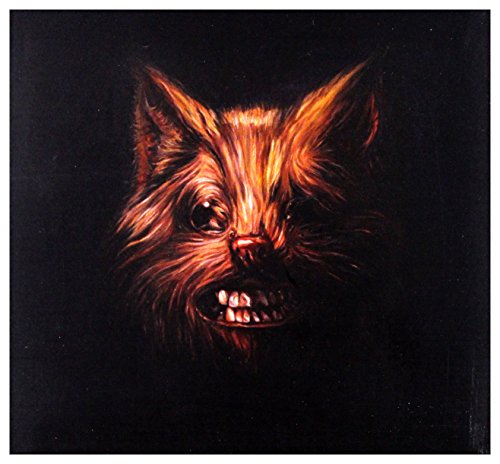 Seer -Cd+Dvd-