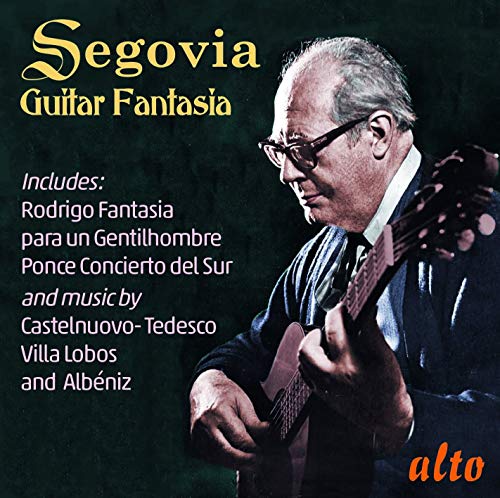 Guitar Fantasia