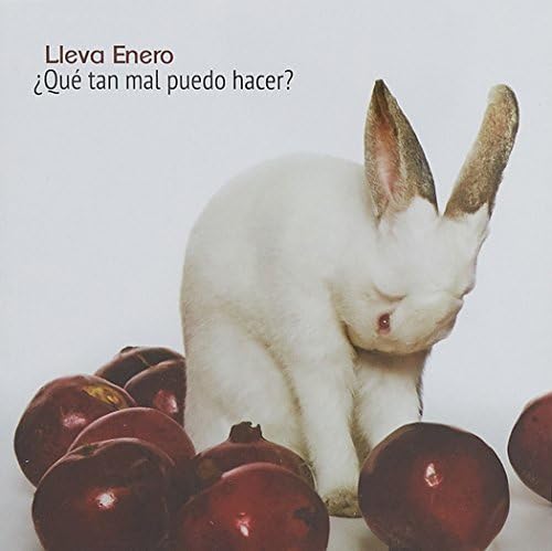 Que Tan Mal Puedo Hacer