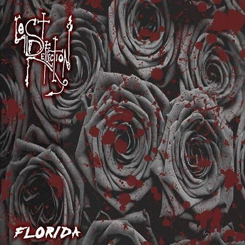 Sg Records Florida