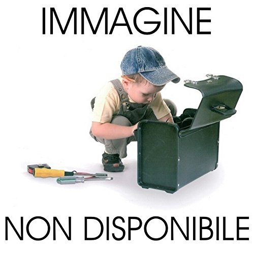 In Italia Erano I Nomadi
