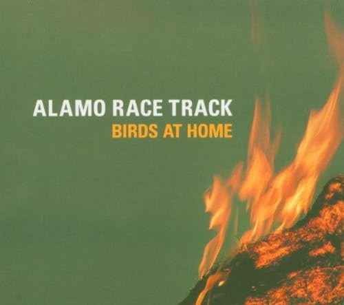 Birds At Home