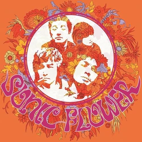 Sonic Flower (Orange Trasparent Backgrou