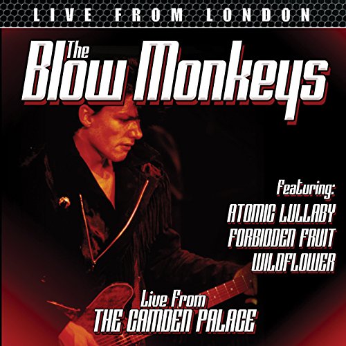 Live From The Camden Palace
