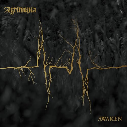 Awaken