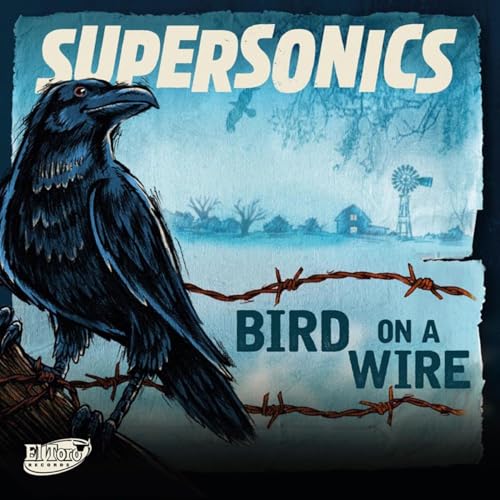 Bird On A Wire