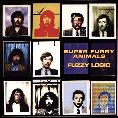 Fuzzy Logic (20Th Anniversary Deluxe Edt.)