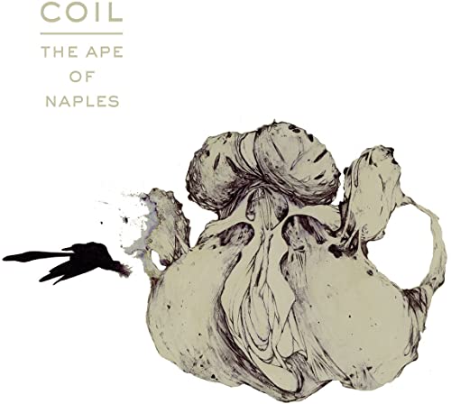 The Ape Of Naples