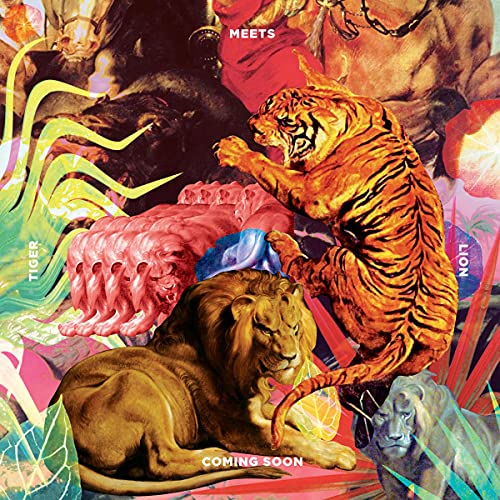 Tiger Meets Lion