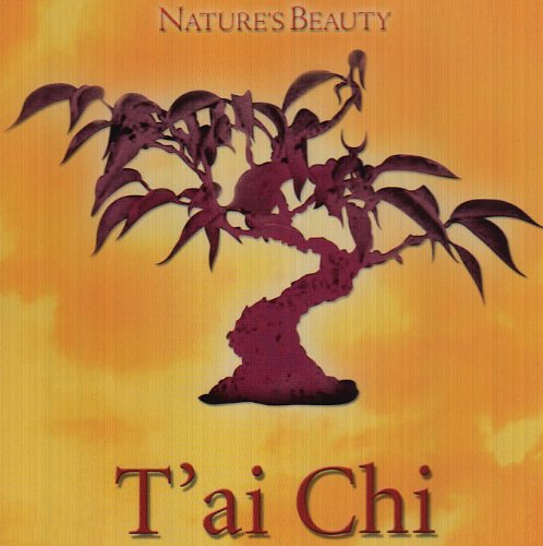 T'Ai Chi