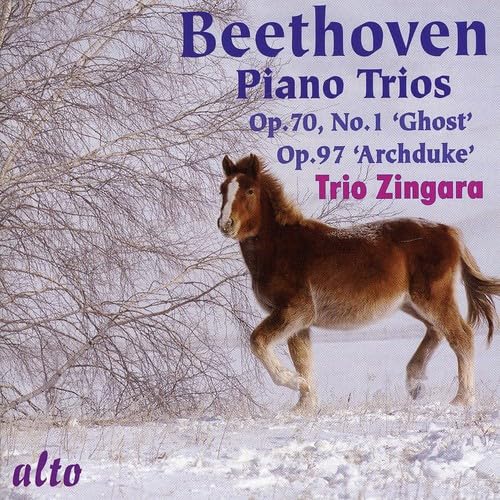 Trio Per Piano Violino E Cello N.5 Op 70