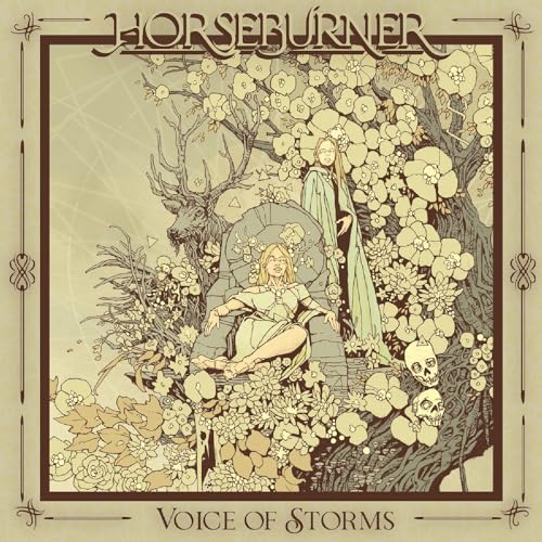 Voice Of Storms