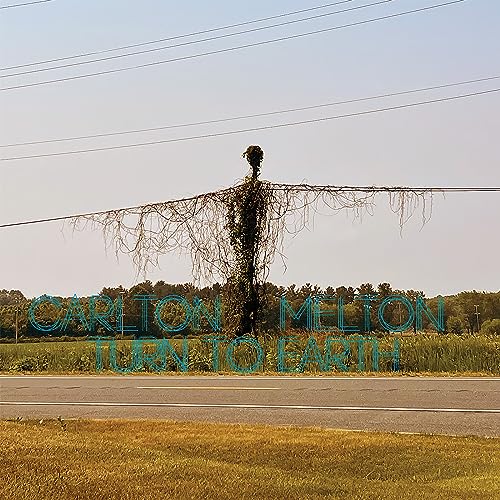 Turn To Earth [Vinyl]