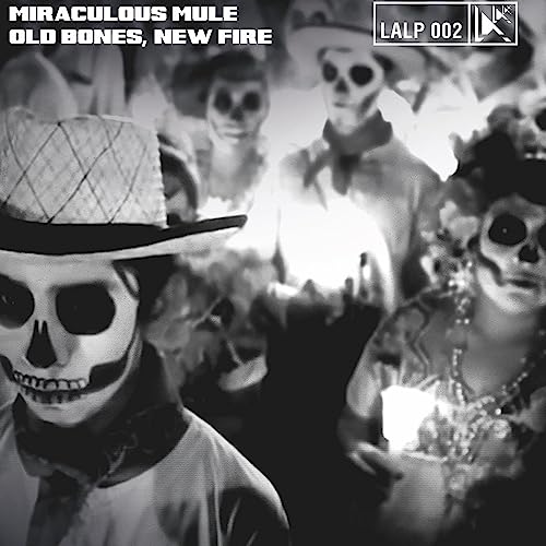 Old Bones, New Fire [Vinyl]