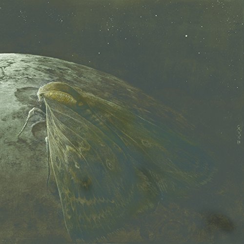 Moth & The Moon