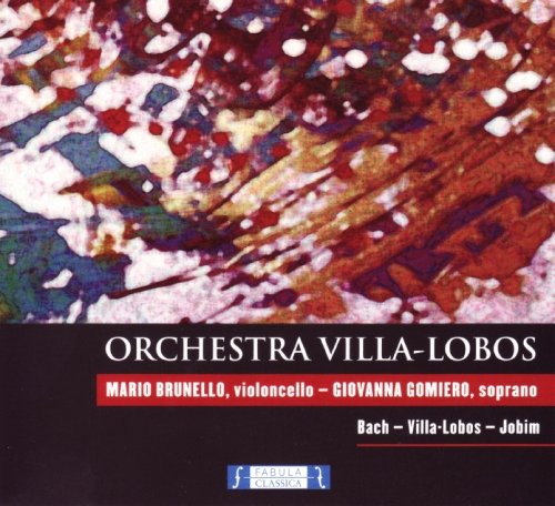 Orchestra Villa-Lobos