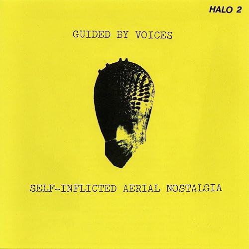 Self-Inflicted Aerial Nostalgia [Vinyl]