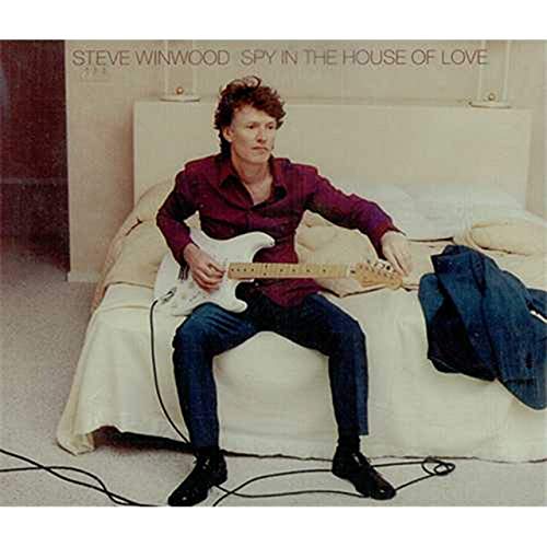 Spy In The House Of Love