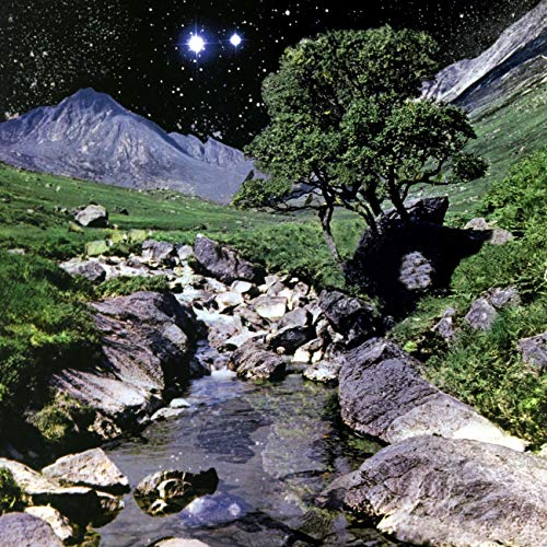 The Beta Band (2 Cd)