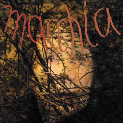Macchia Forest