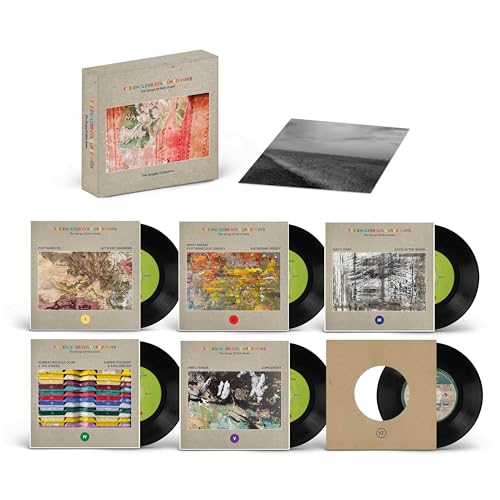 The Endless Coloured Ways: The Songs Of Nick Drake (The Singles Collection) [Vinyl]