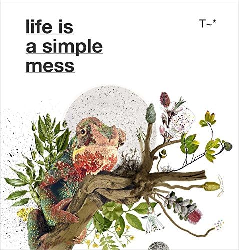 Life Is A Simple Mess