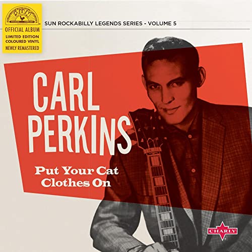 Put Your Cat Clothes On