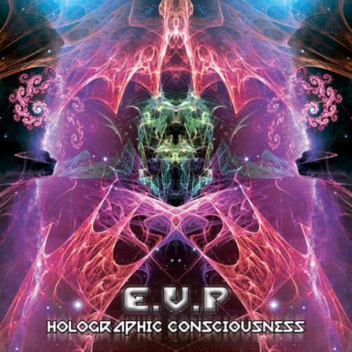 Holographic Conciousness