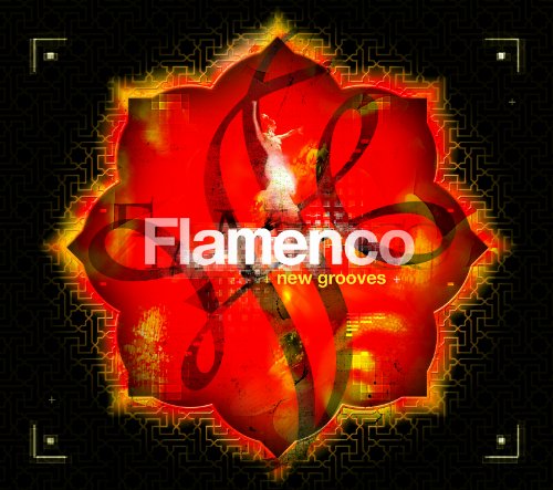 Flamenco New Grooves
