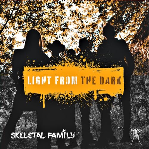Light From The Dark [Vinyl]