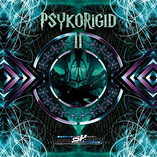 Psykorigid 2 - Compiled By Dj Psykelo