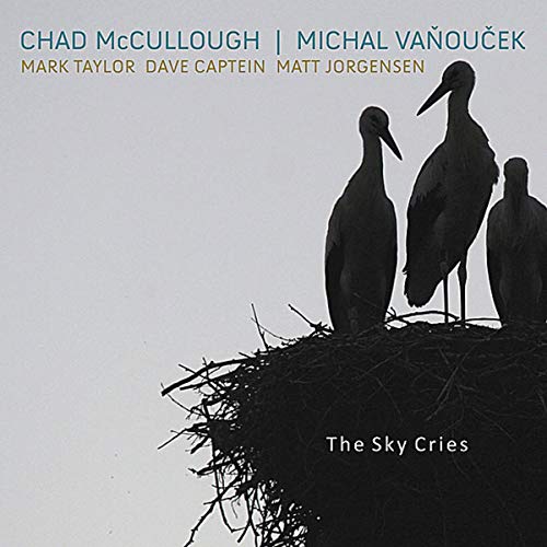Sky Cries