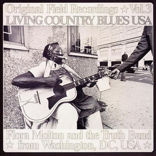 Living Country Blues Usa Vol. 3