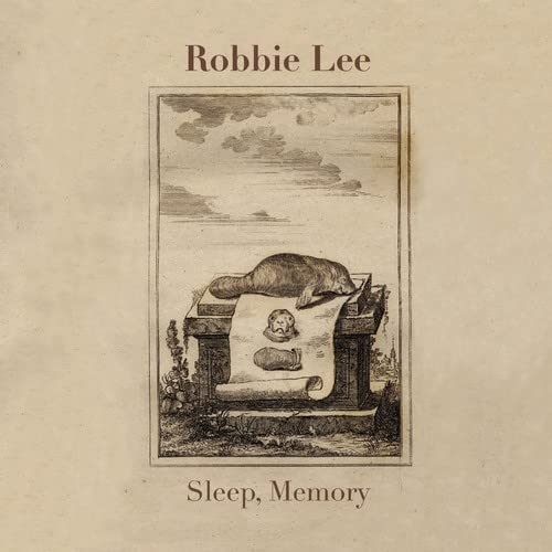 Sleep Memory