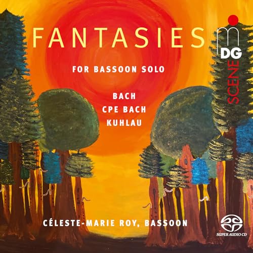 Fantasies For Bassoon Solo