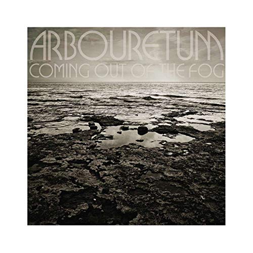Coming Out Of The Fog [Vinyl]